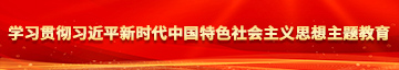 啊不要好大好爽操我白浆学习贯彻习近平新时代中国特色社会主义思想主题教育